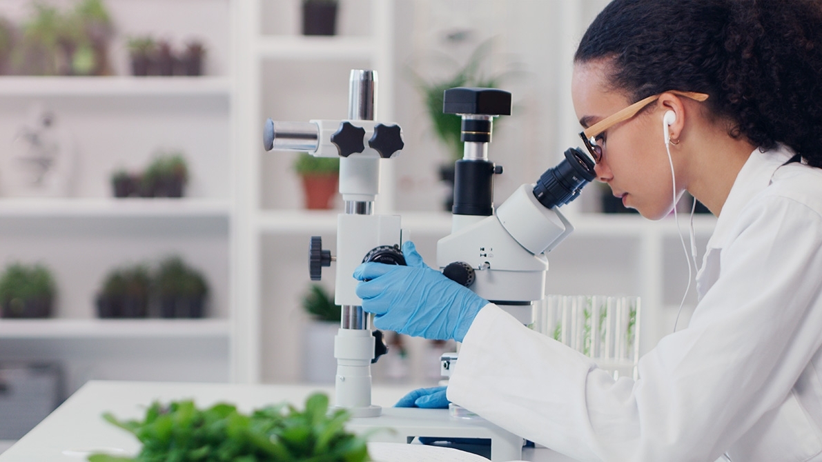 Scientist in laboratory looking into microscope.  Plants in the background on shelfing, and forefront laying on desk.  