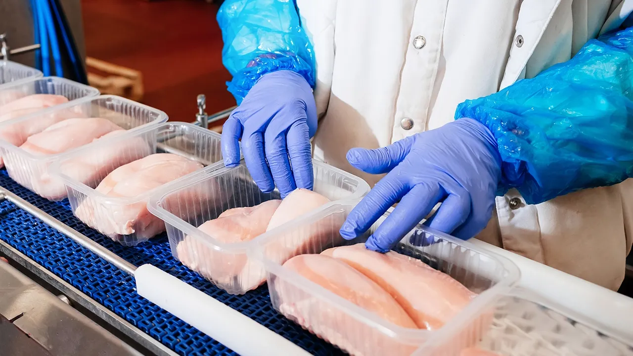 raw chicken breast in packages on conveyor belt being inspected