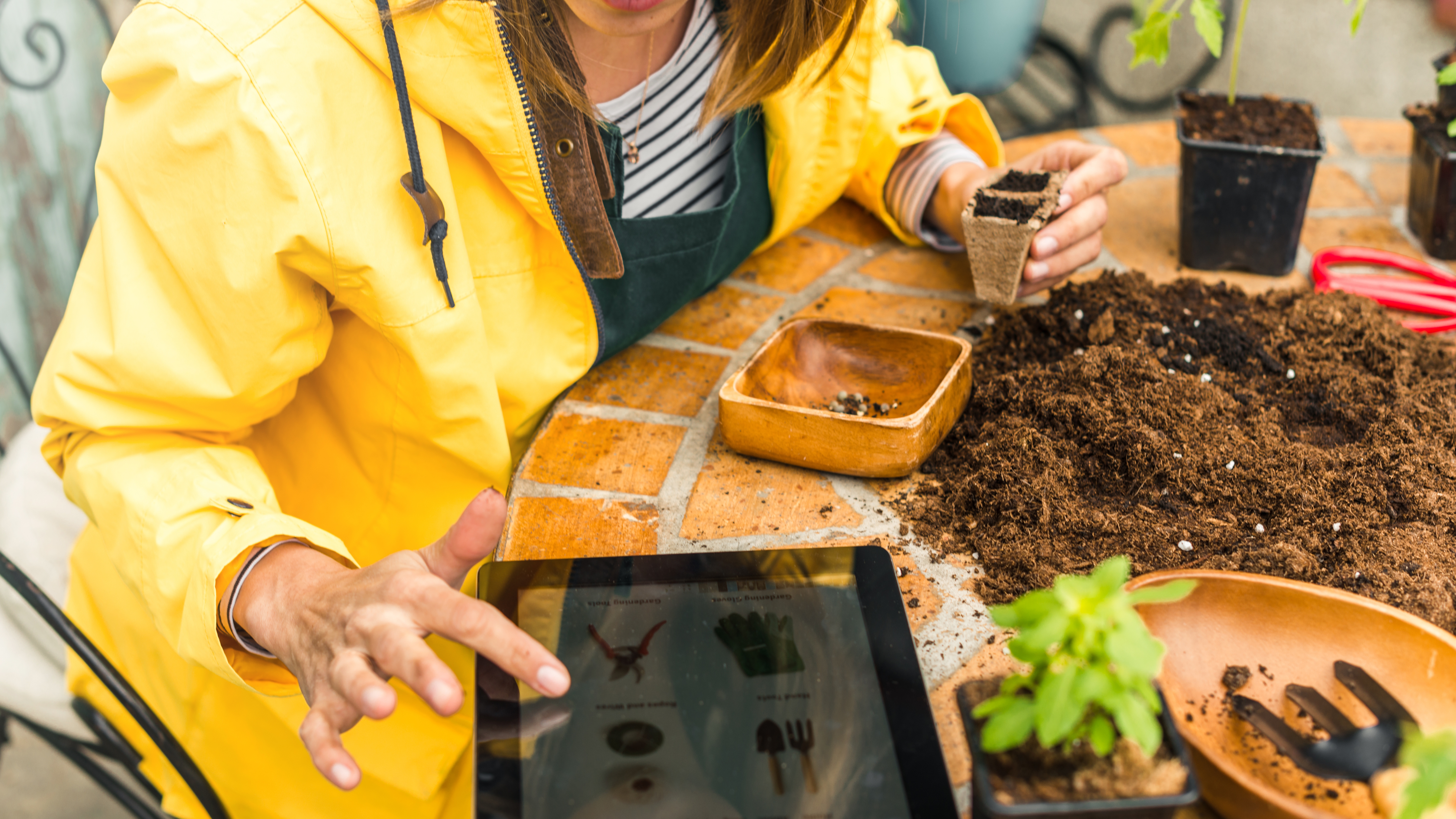 woman looking up information on a tablet while potting plants