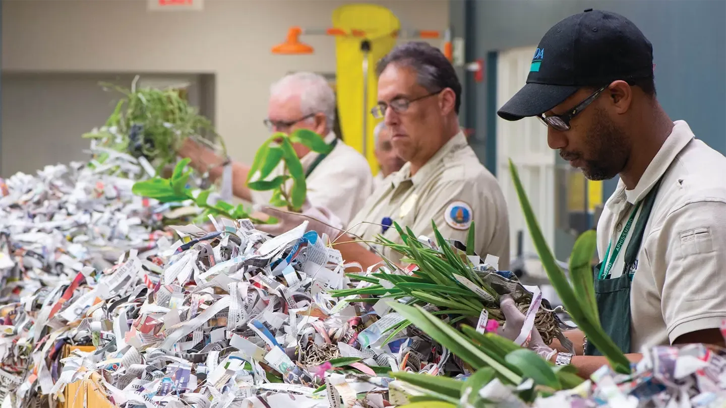 USDA APHIS plant inspection of imported goods at a facility