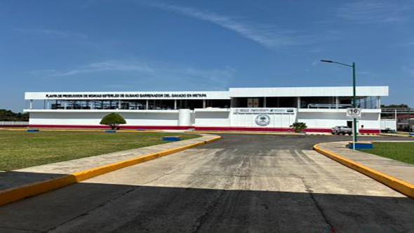 view of production facility in Metapa, Mexico