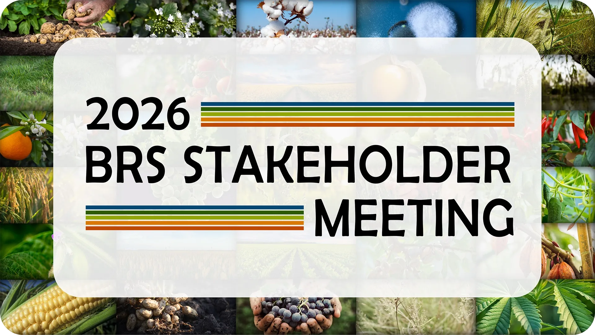 Theme art for 2026 BRS Stakeholder Meeting