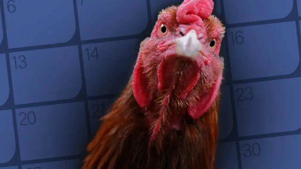 Avian health calendar promo
