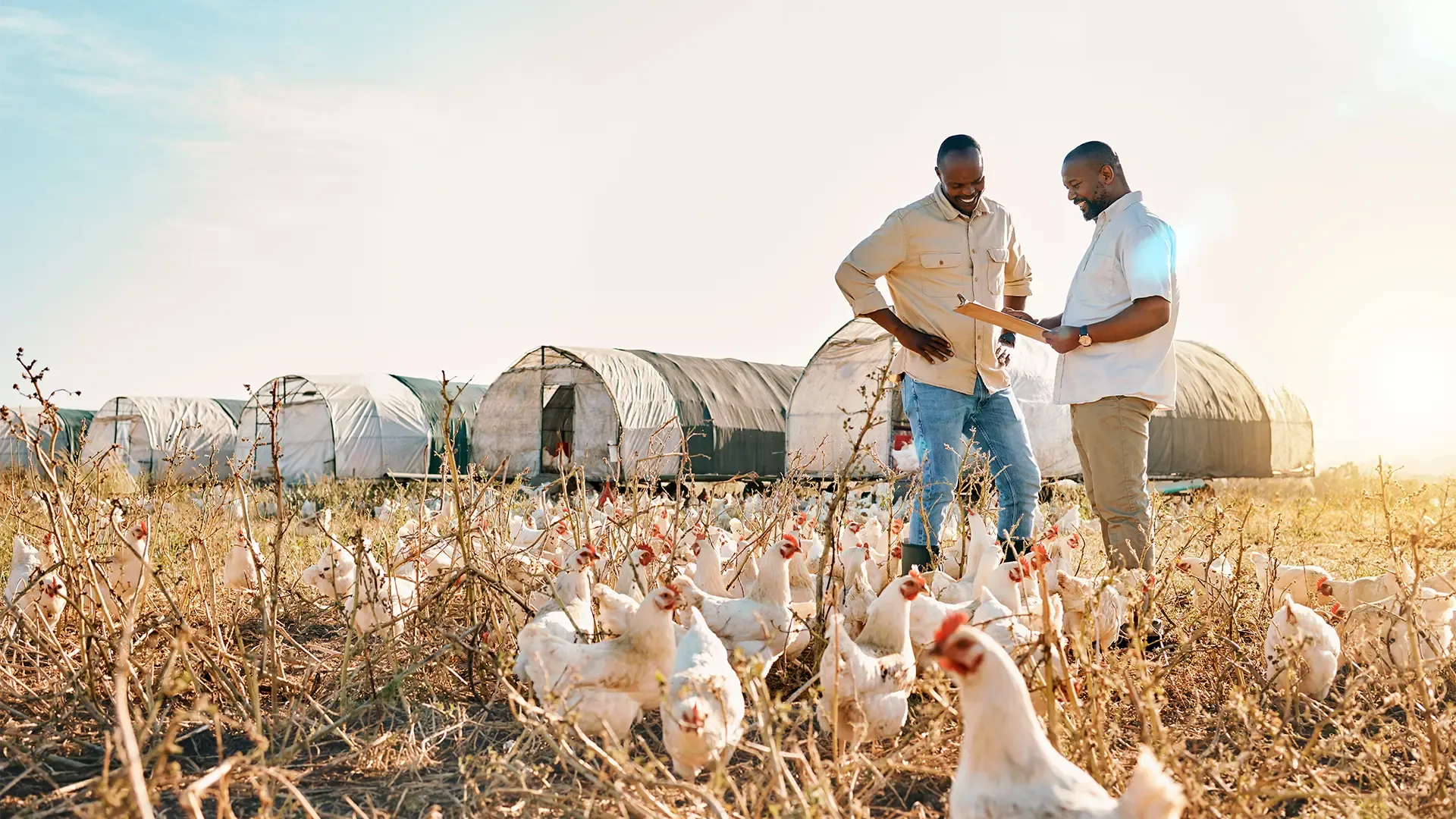 Two men review a document on a clipboard among a chicken farm