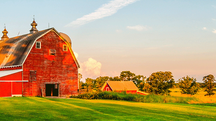 farm and landscape