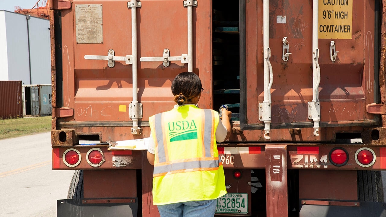 a USDA worker investigating inside of a truck