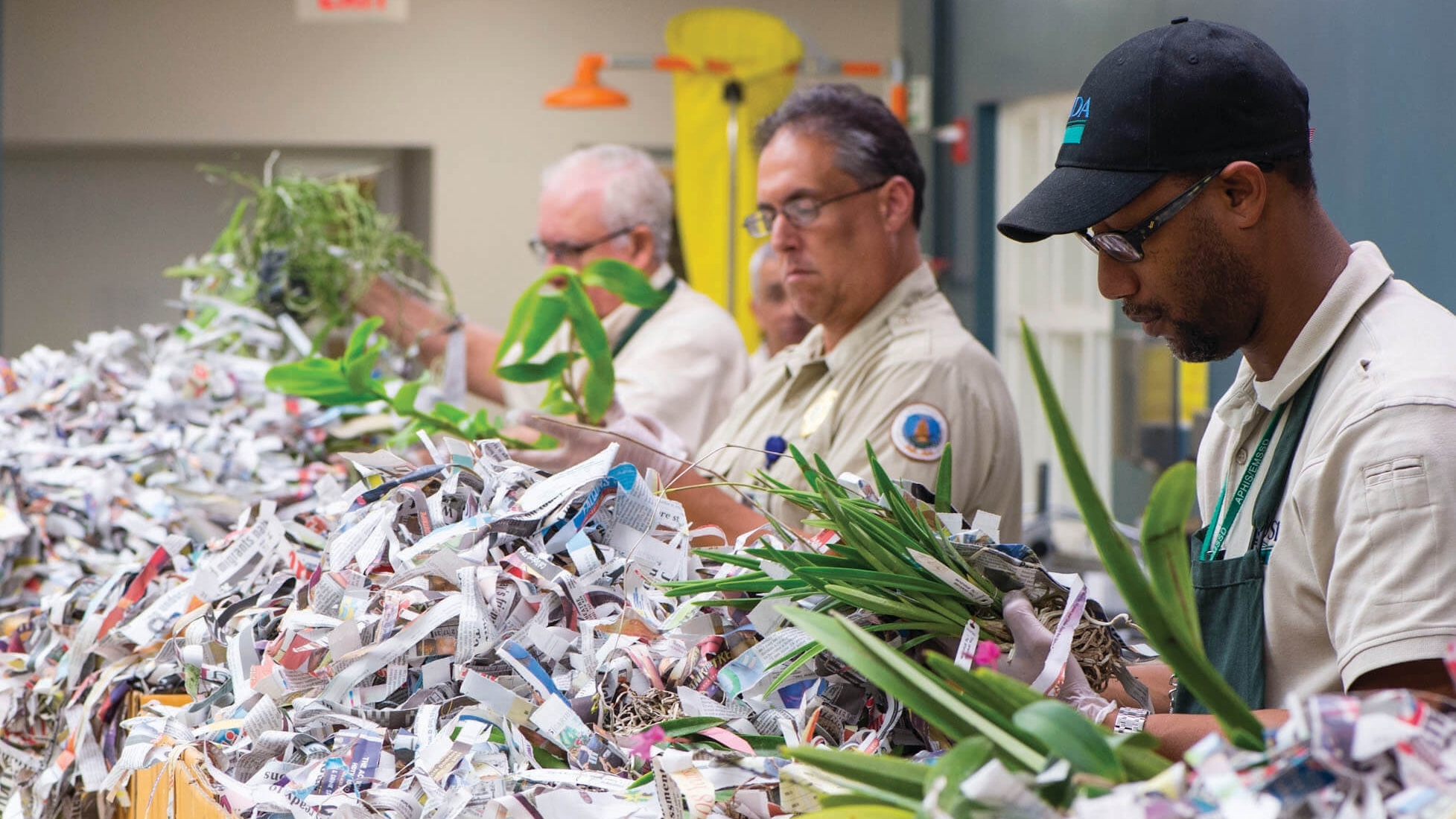 People inspecting plants