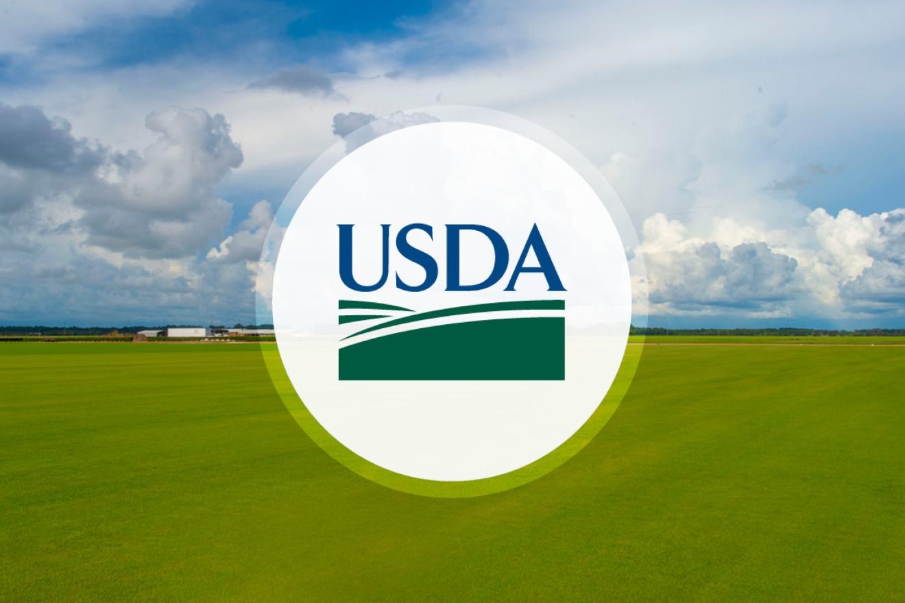 USDA press release image