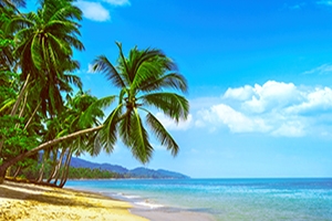 Hawaii landscape