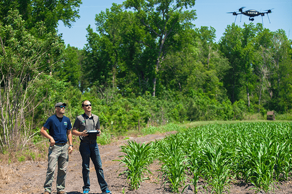 Wildlife Services employees using a drone to survey the land.