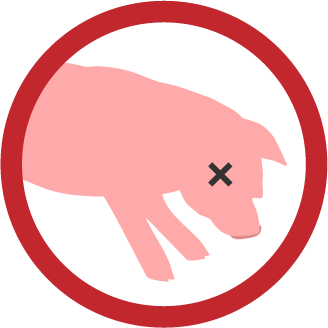 illustration of a dead pig