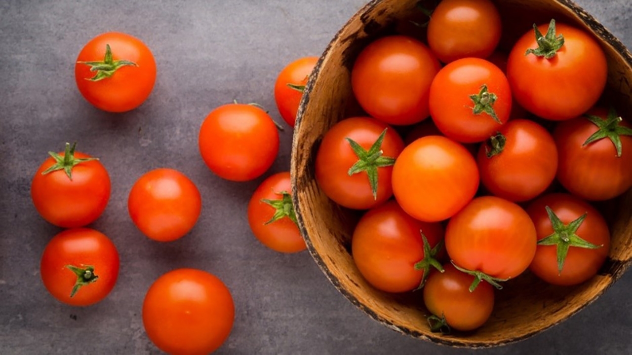 basket of tomatoes