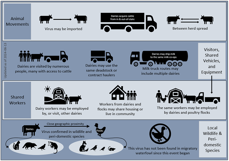 infographic