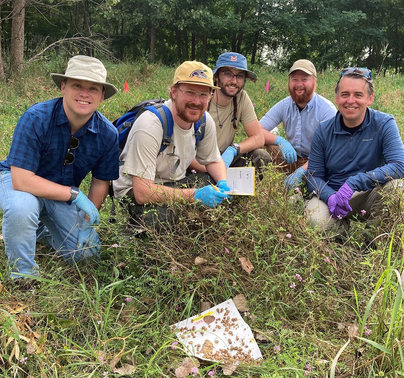 Five Scientists recording recorded the number of snails on paperboard traps.