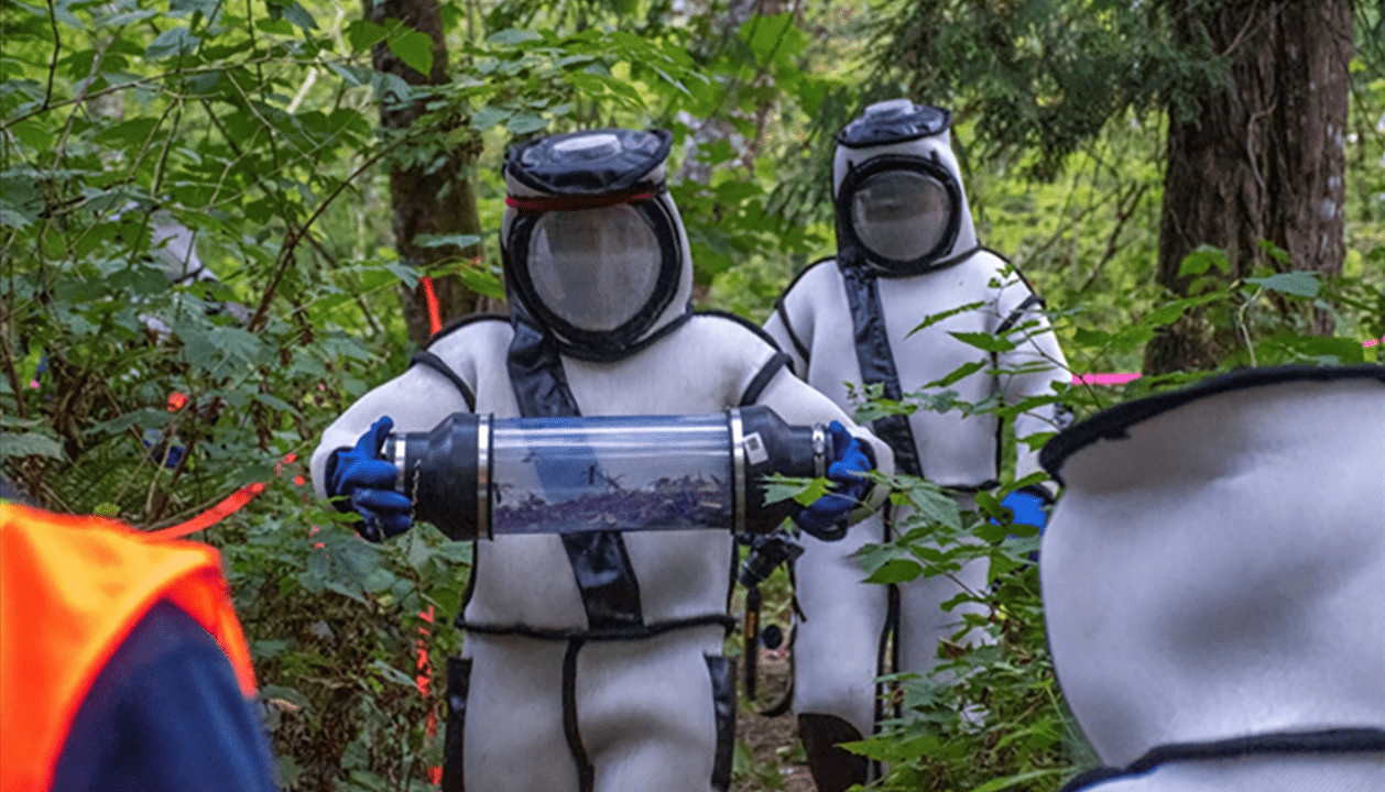 two people in protective suits eradicating hornet nests
