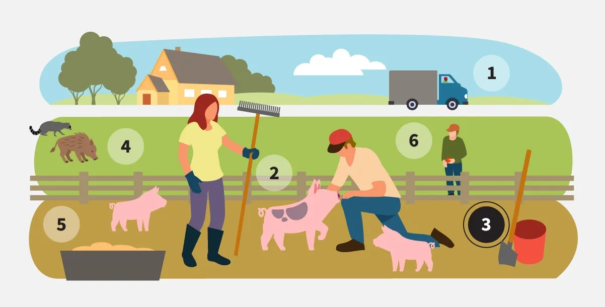 Step 3: Clean and disinfect all equipment and vehicles entering or leaving your site.