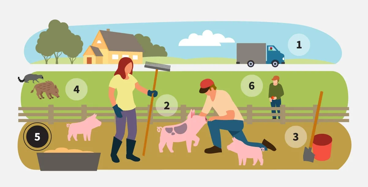 Step 5: Store feed where wildlife cannot access it or contaminate it.