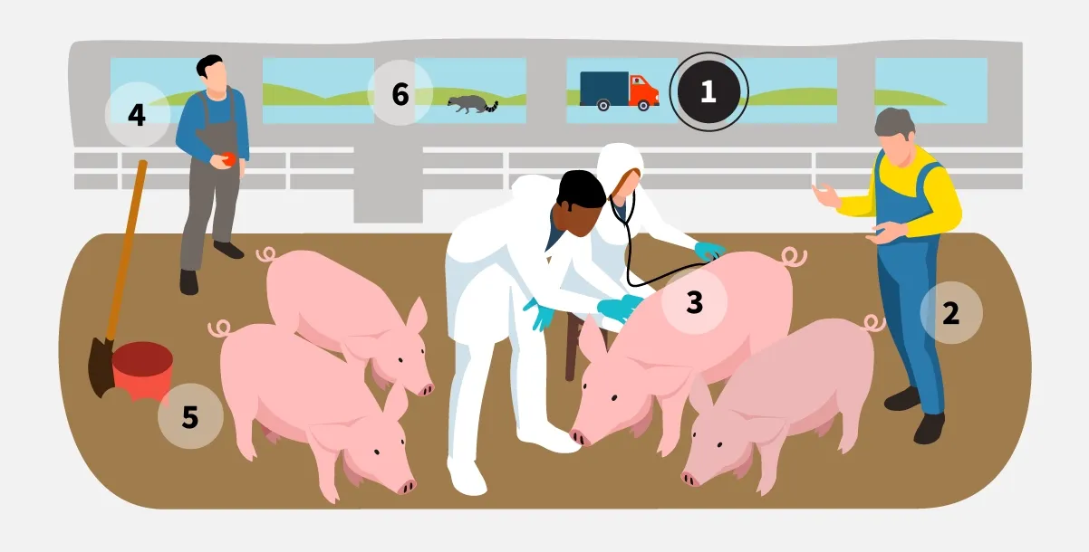 Step 1: Limit on-farm traffic.