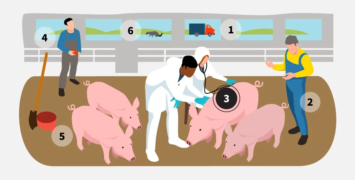 Step 3: Wear clean coveralls and boots at each site.