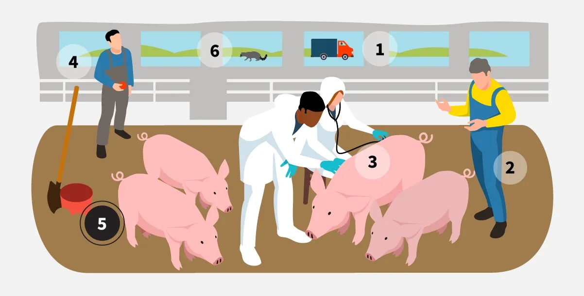 Step 5: Clean and disinfect all equipment and vehicles entering or leaving your site.