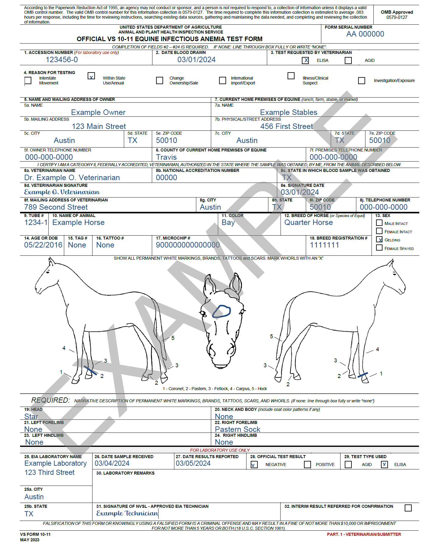 example of a filled-out vs form 10-11