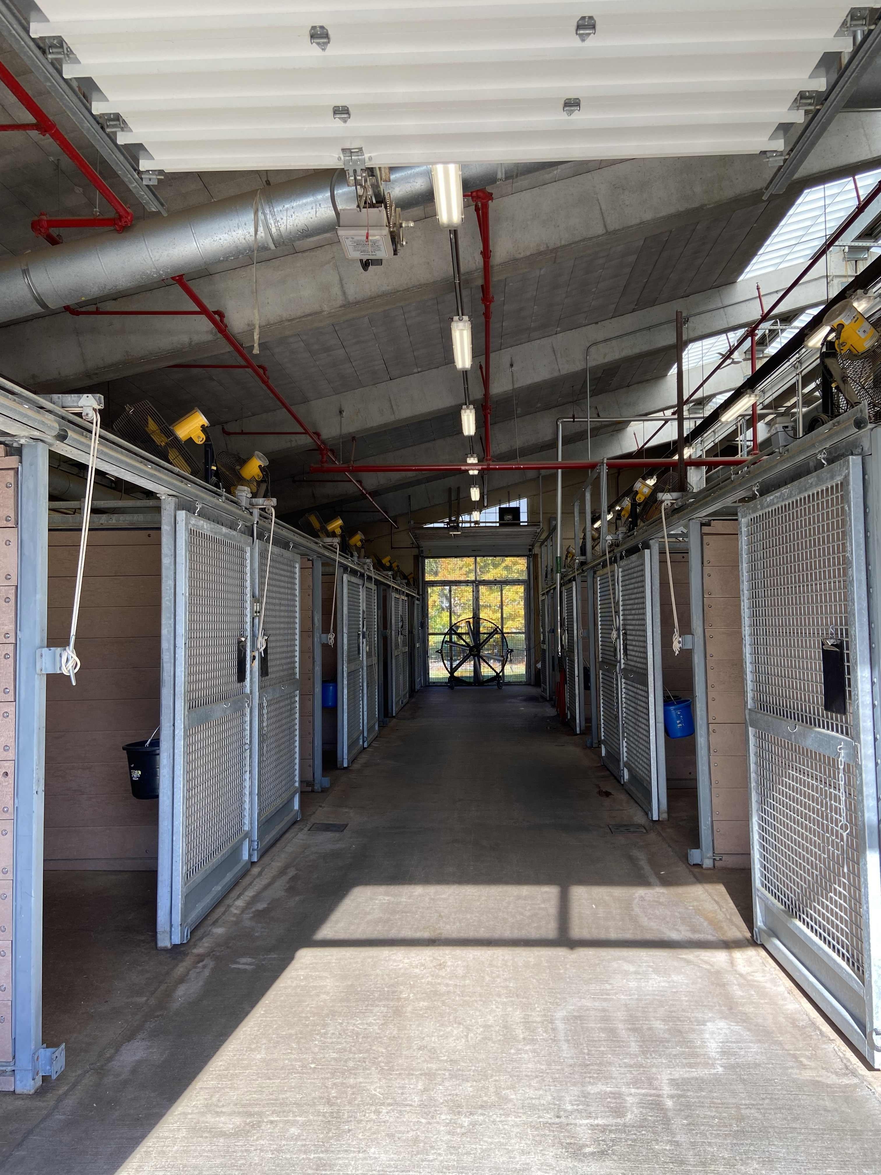 inside of an equine barn at New York Animal Import Center