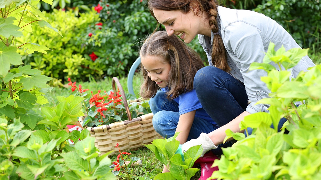 a woman and young girl kneeling to collect flowers in a basket