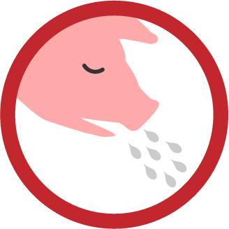 illustration of a pig with droplets coming out of its mouth