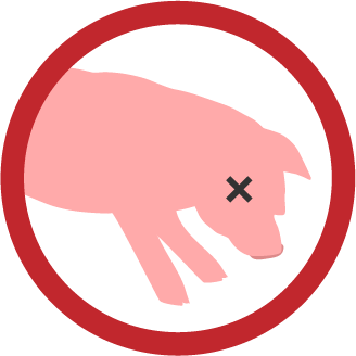 illustration of a dead pig