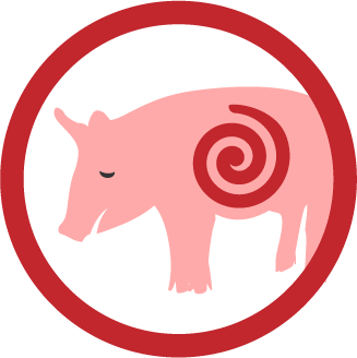 illustration of a pig with a swirl graphic over its stomach