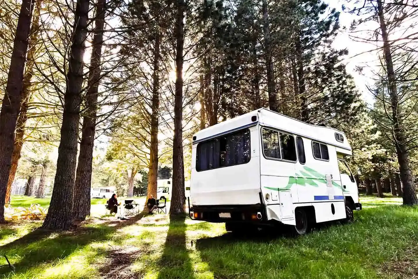Camper van parked at a forest campsite