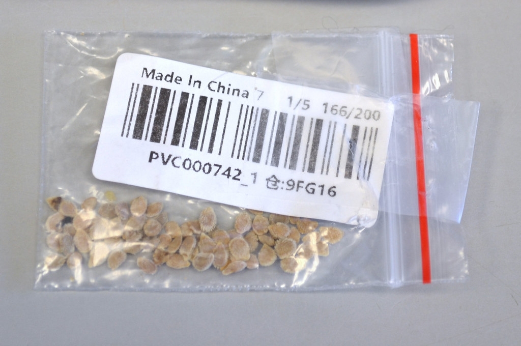 small package of seeds