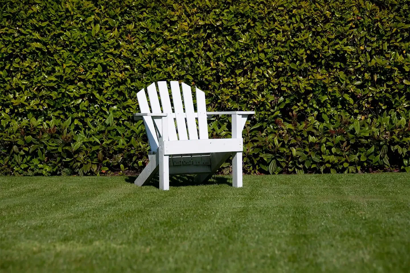 Outdoor lawn chair in a yard with grass and trees