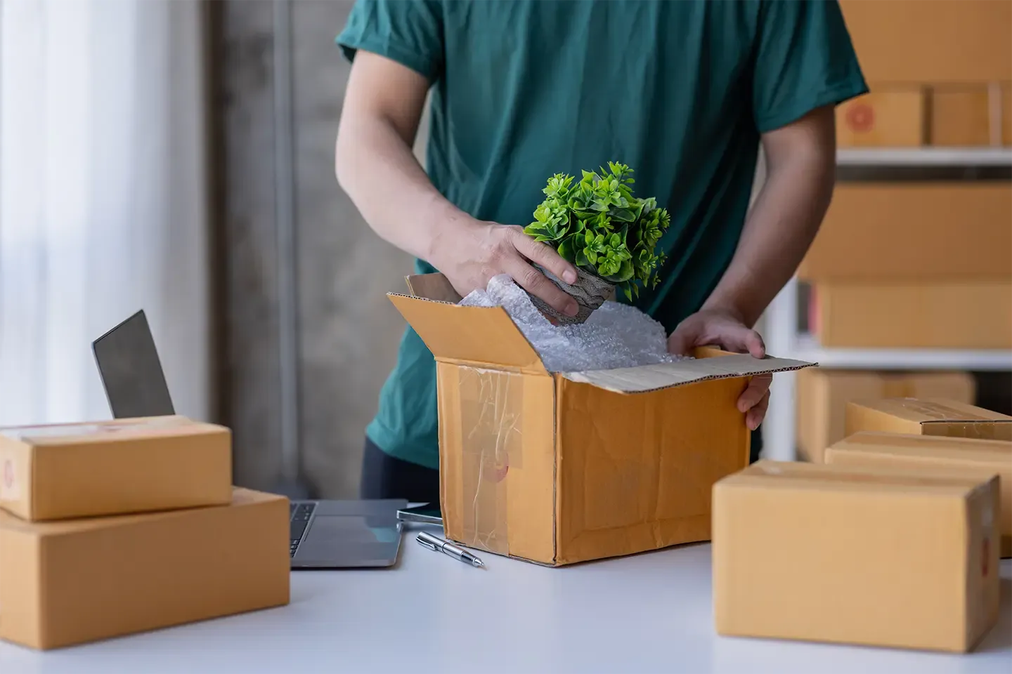 Worker packing a plant in a box for shipping