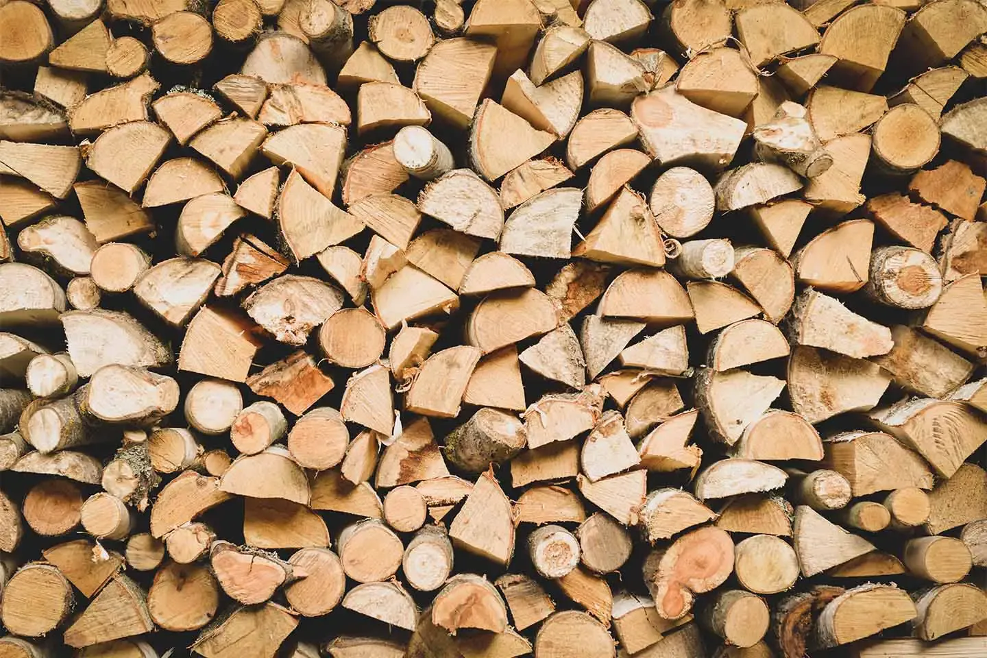 Close‑up view of stacked firewood