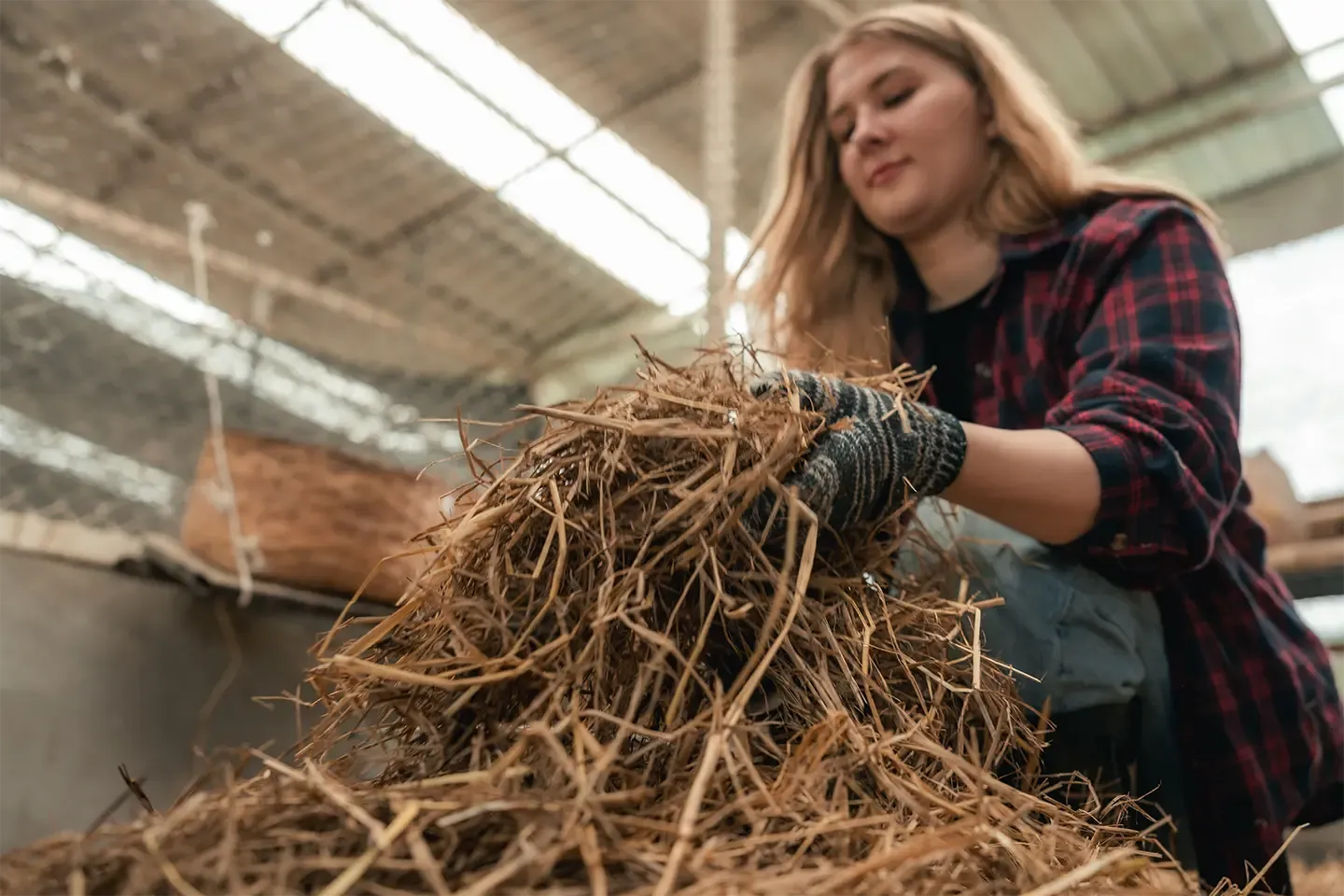 Woman cleans a chicken coop