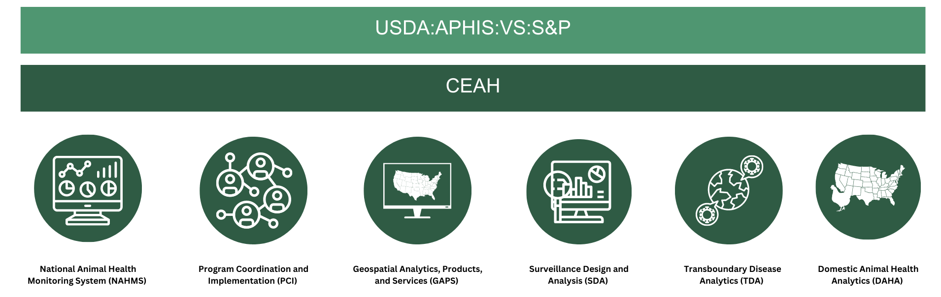 organizational chart showing the names of the units and teams within the Center for Epidemiology and Animal Health