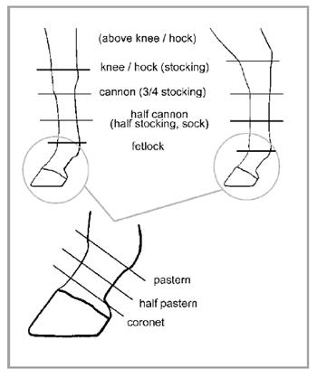 BLM Freeze Mark Alpha Angle Code