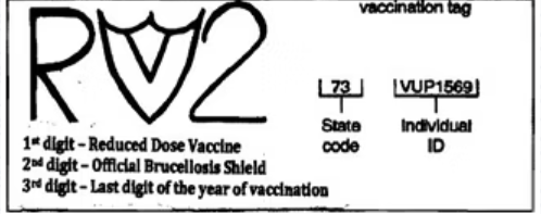 Sample brucellosis tattoo of an animal vaccinated in 2012