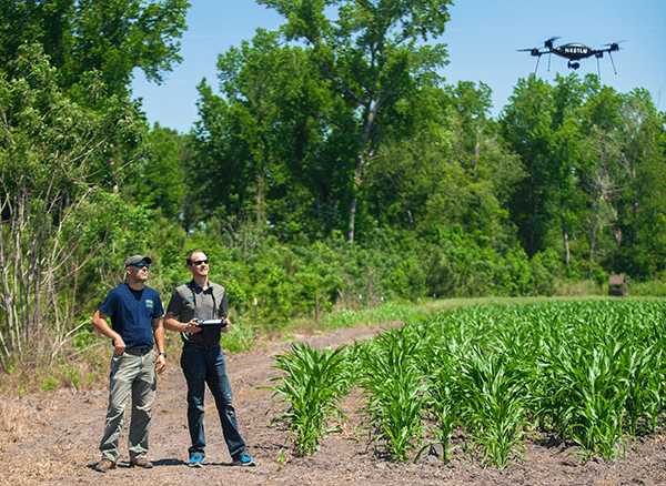 Wildlife Services employees using a drone to survey the land.