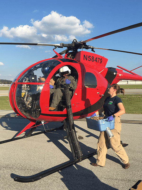 Wildlife Services employees in a small helicopter.