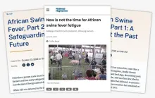 image of only articles