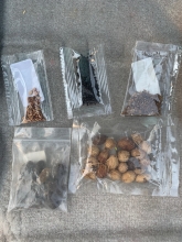 five packets of seeds