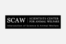 SCAW logo