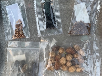 five packets of seeds