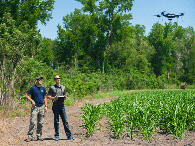 Wildlife Services employees using a drone to survey the land.